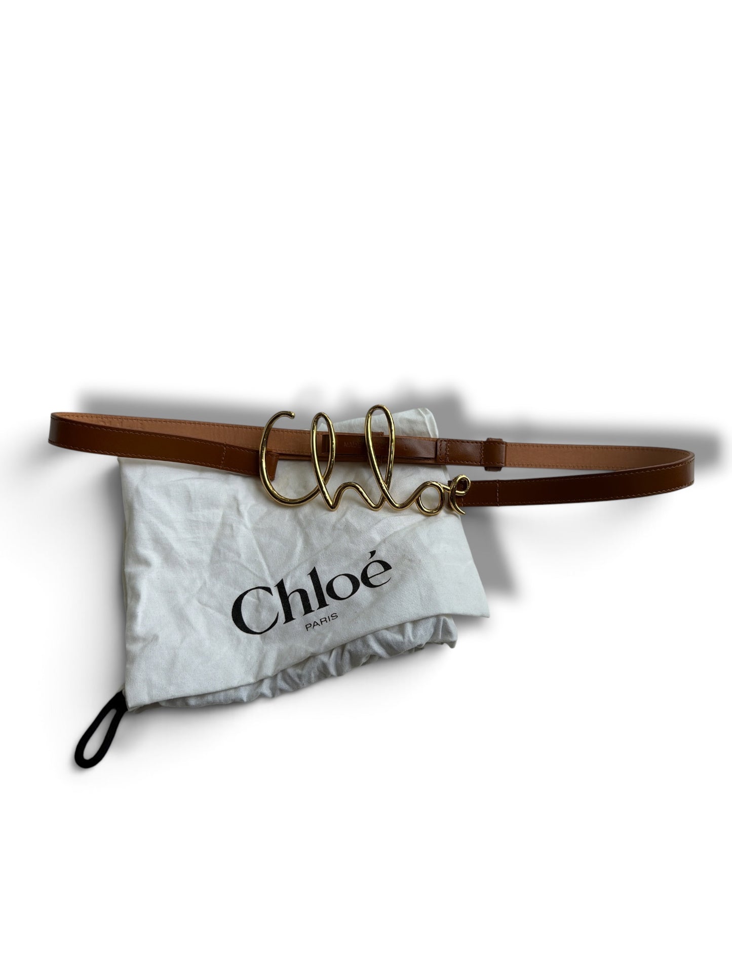 Chloé Iconic Belt in Clay Brown Belt
