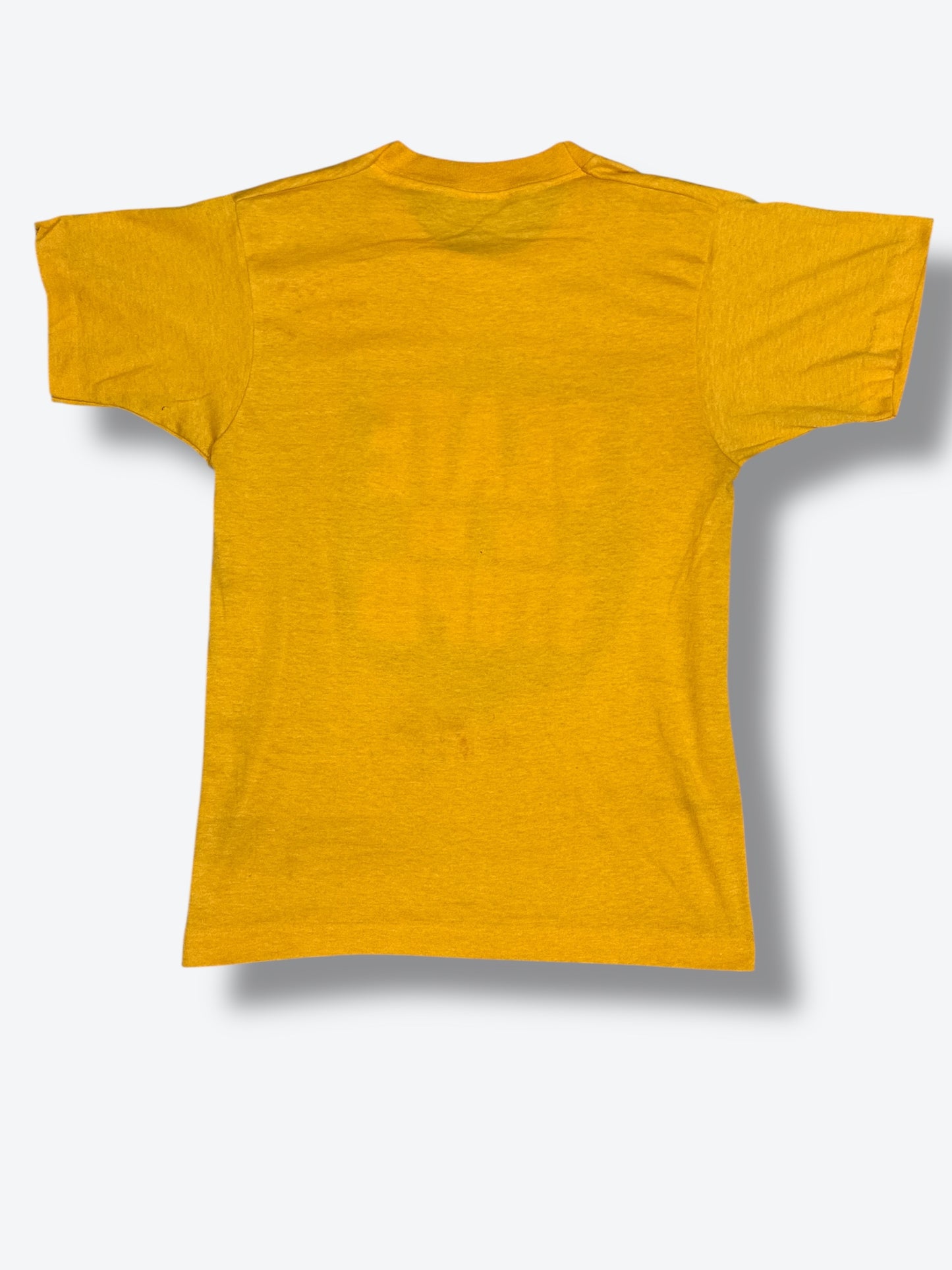 Vintage “Skate or Be Stupid” Unisex T