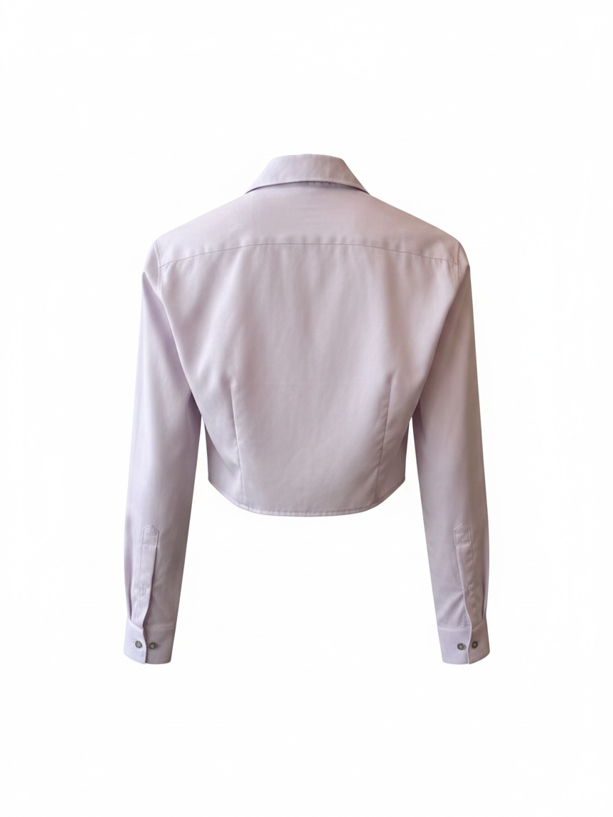 Kameo Edit Calvin Klein Lavender Crop Blouse