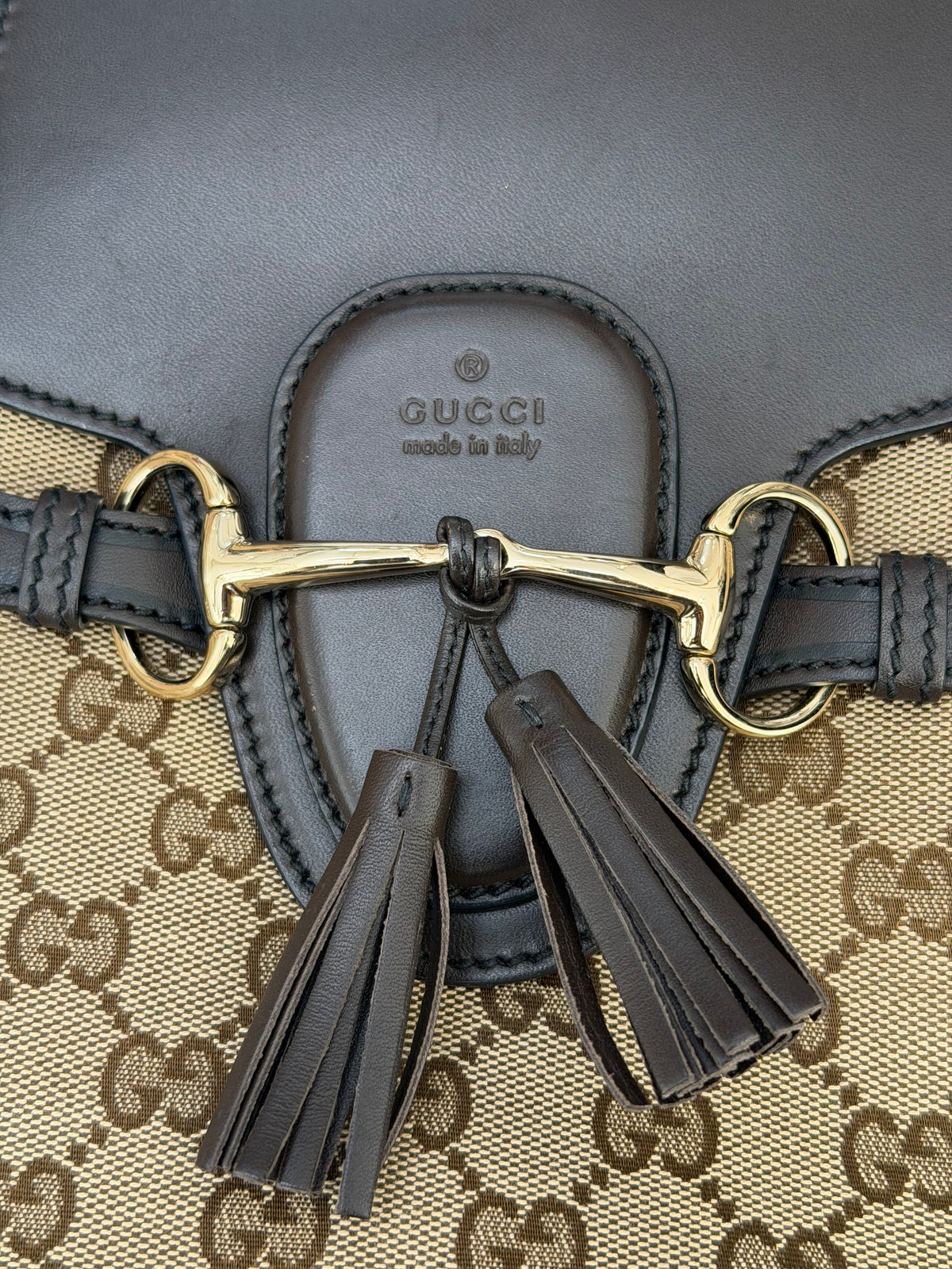 Gucci GG Canvas “Emily” Original Chain Hobo Bag