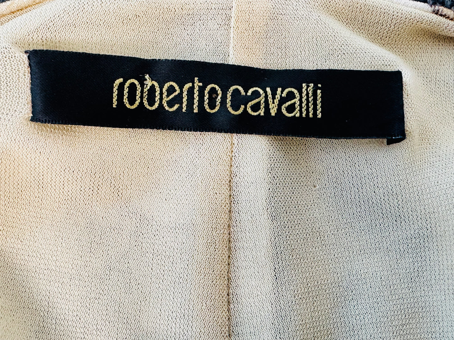 2000 Roberto Cavalli Snake Dress