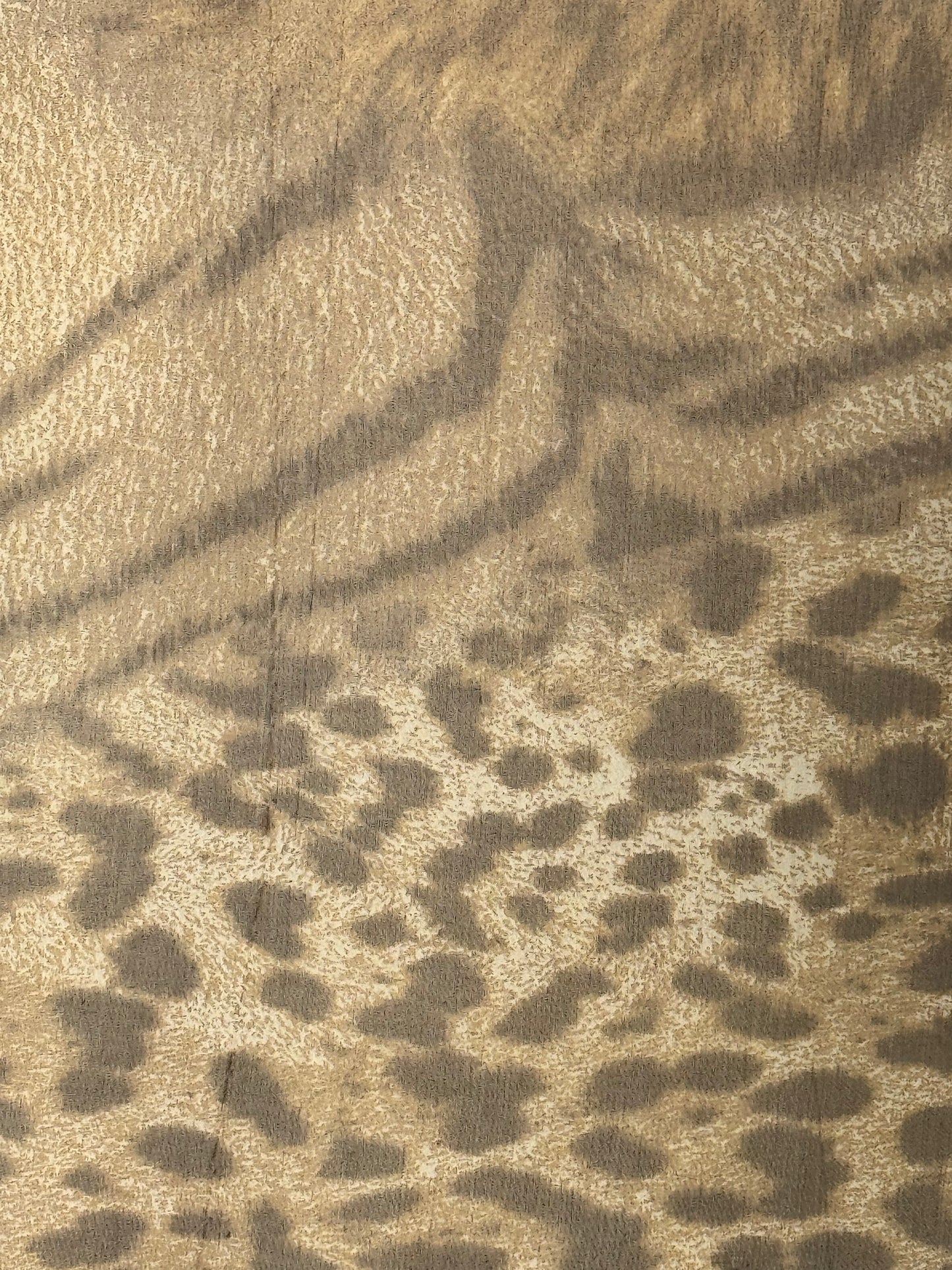 Y2K “Class” Roberto Cavalli Sheer Cheetah Ruffle Blouse