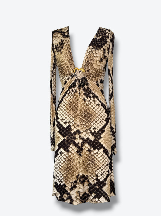 2000 Roberto Cavalli Snake Dress