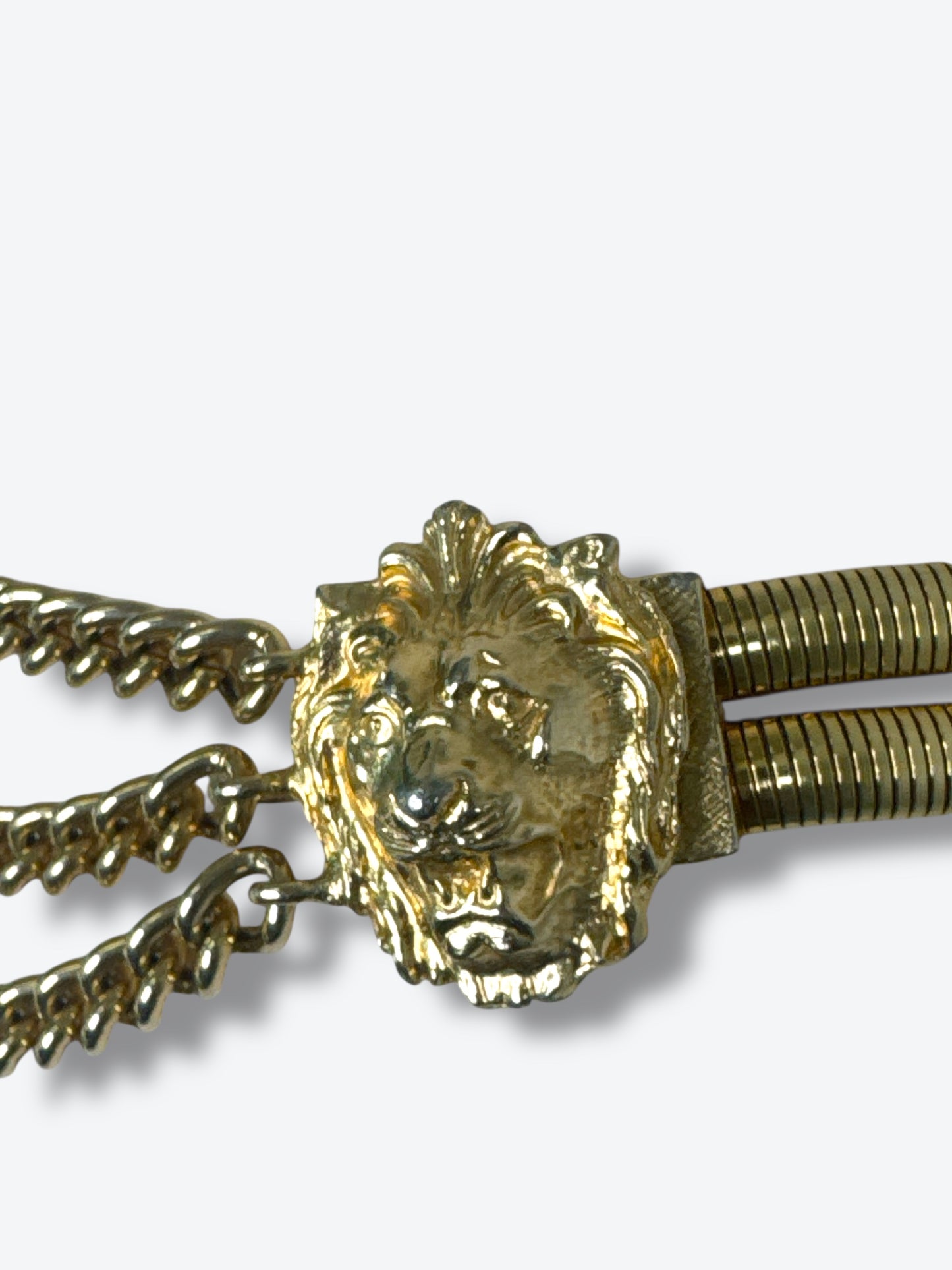 Vintage Gold Lion Medallion Chain Belt – Multi-Strand Draped Statement Accessory